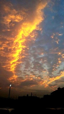 夕焼け－うろこ雲