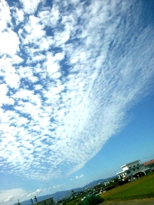 うろこ雲